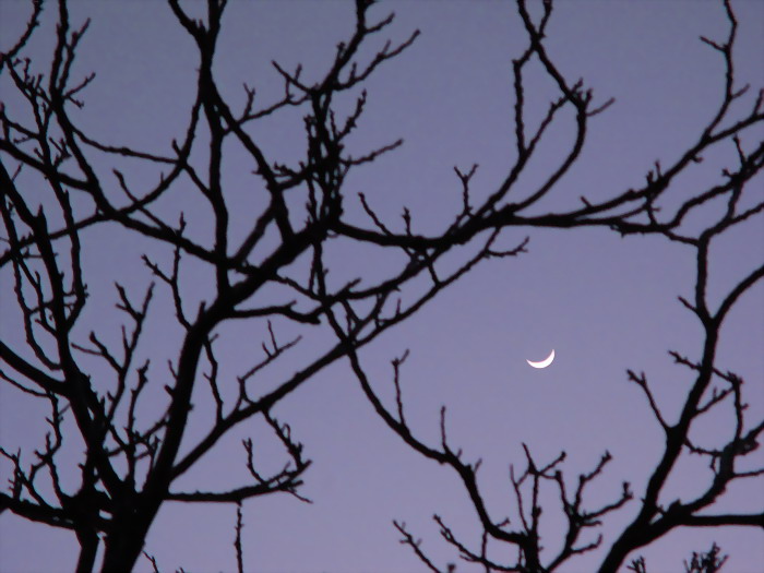 Luna a barchetta